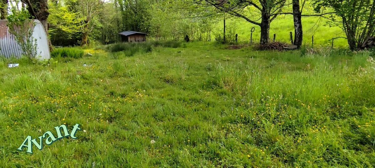 Jardin avant entretien