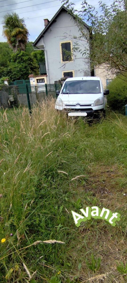 Jardin avant entretien