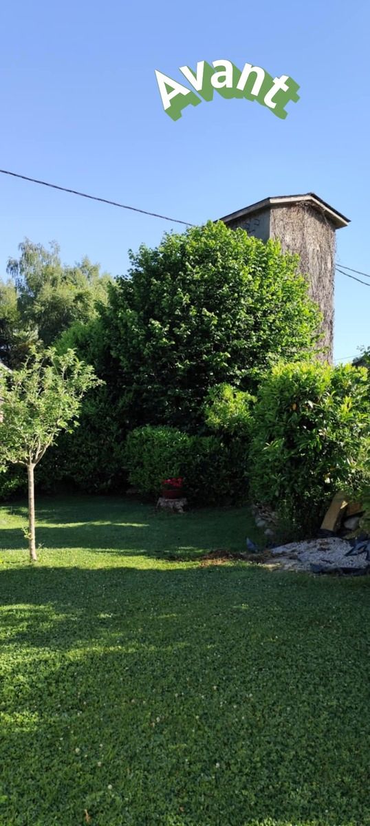 Jardin avant entretien