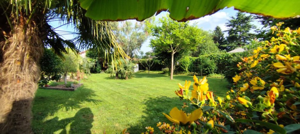 Jardin après tonte