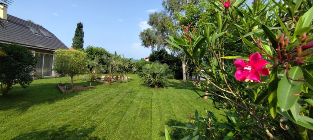 Jardin après tonte